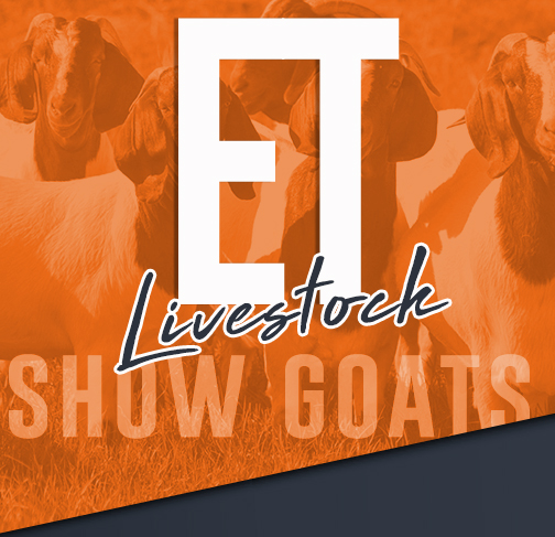 ET Livestock Show Goats