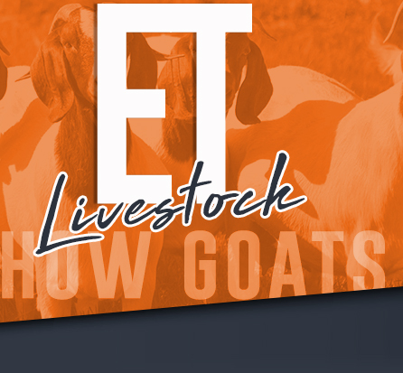 ET Livestock Show Goats